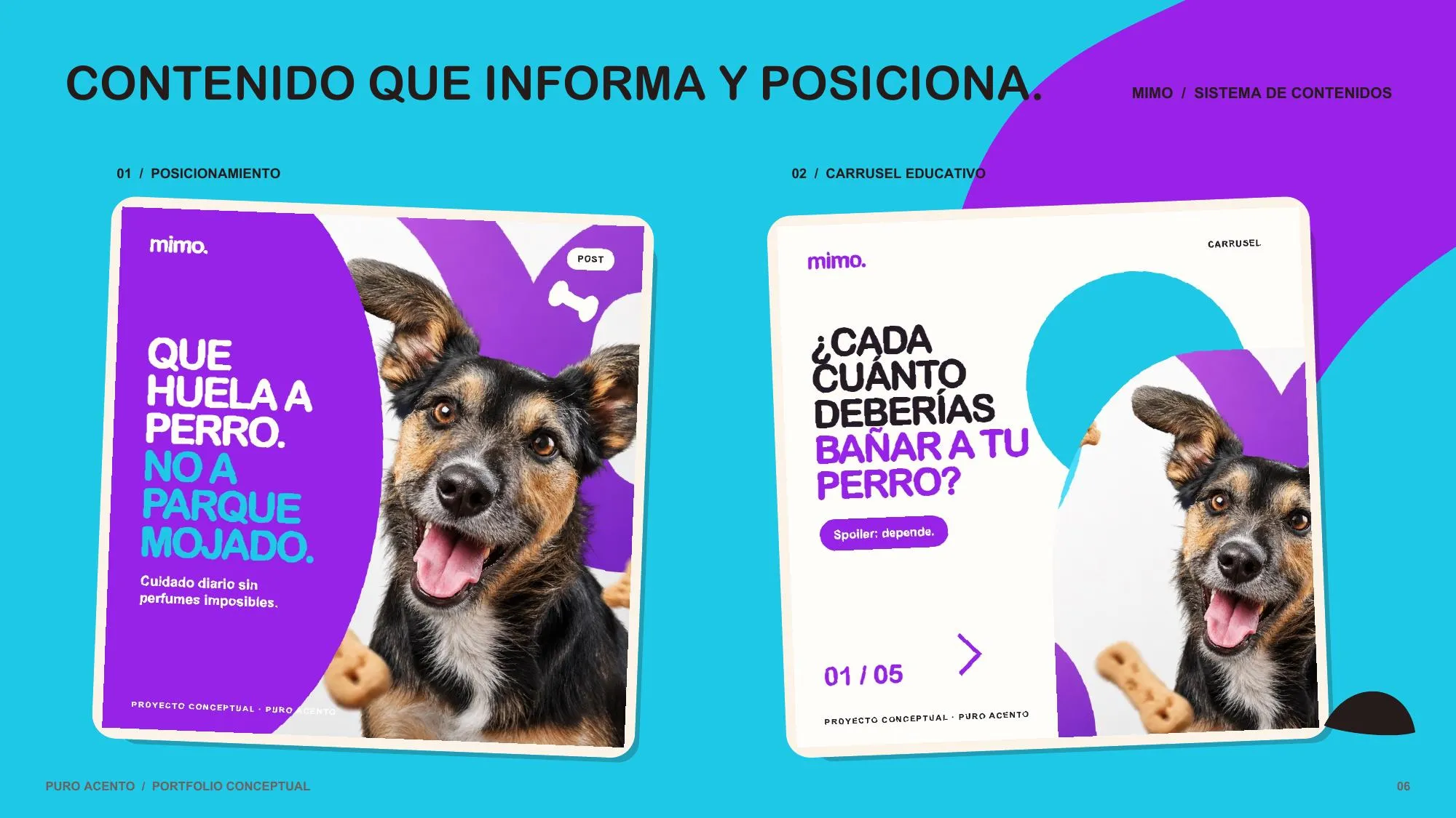 Estrategia conceptual de redes sociales para la marca de mascotas MIMO